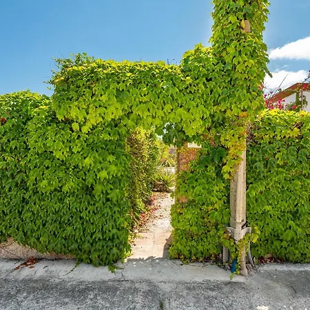 Ondina Casa vacanze Carloforte (Isola di San Pietro)